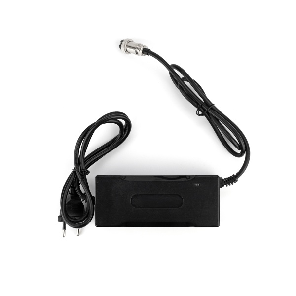 Cargador Batería 36v T12 2T0270005A