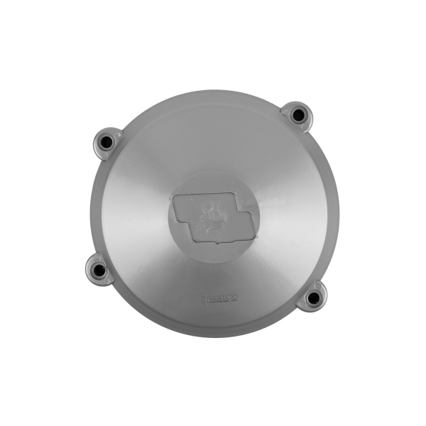 Tapa volante plata